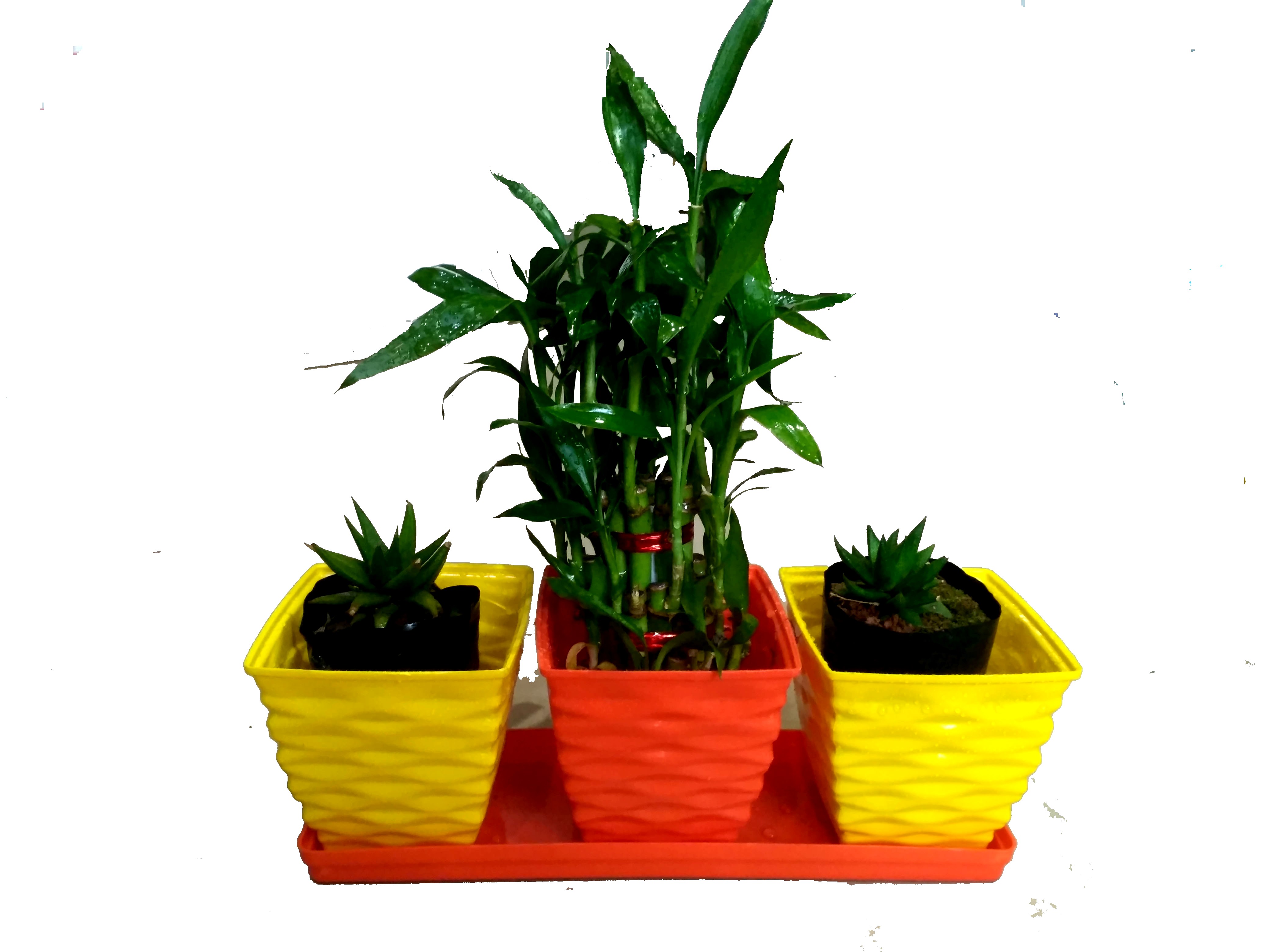 Garden Table top Planter Set  [ 4 pcs  set ]  2 Set  Each set 3 pot 1Tray
